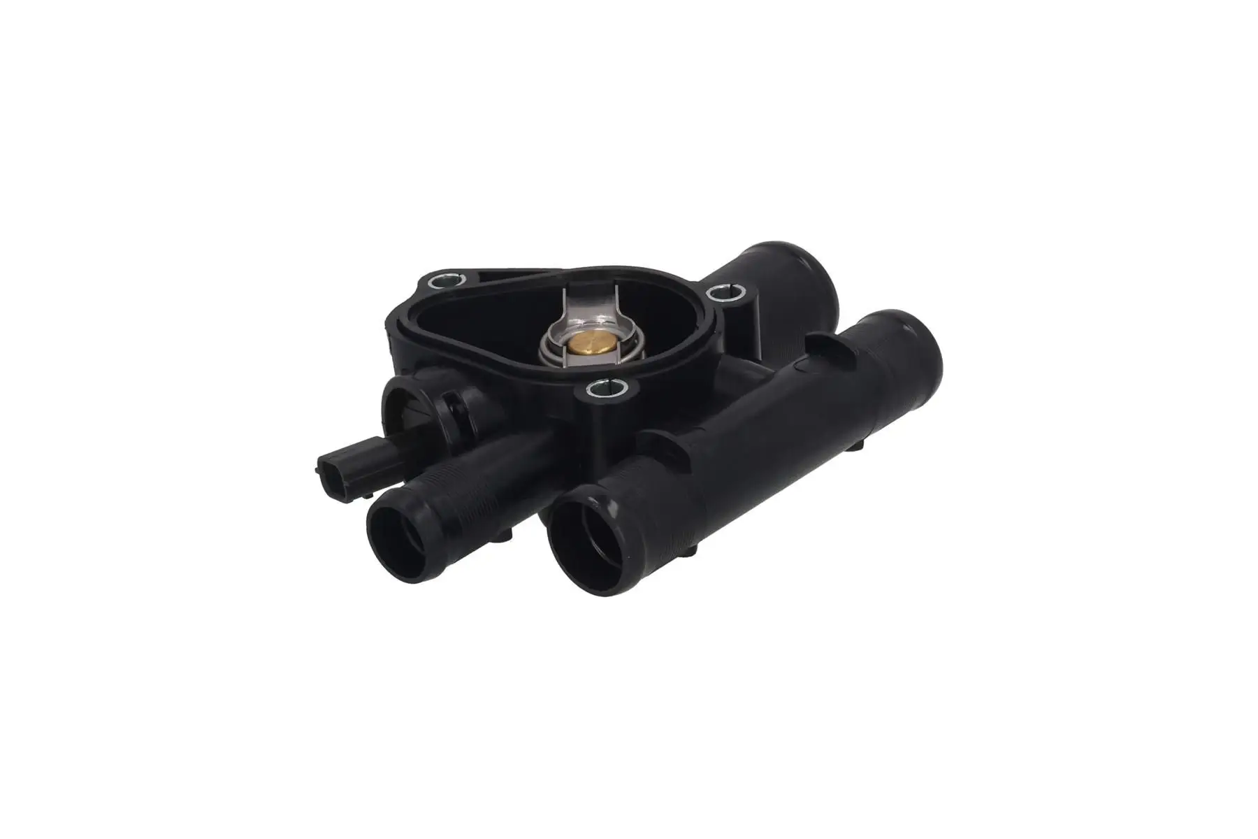 Thermostat d'eau KAMOKA 7710169