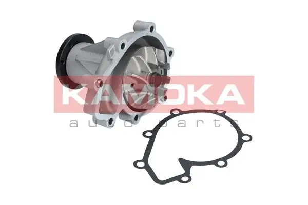 Pompe à eau KAMOKA T0184