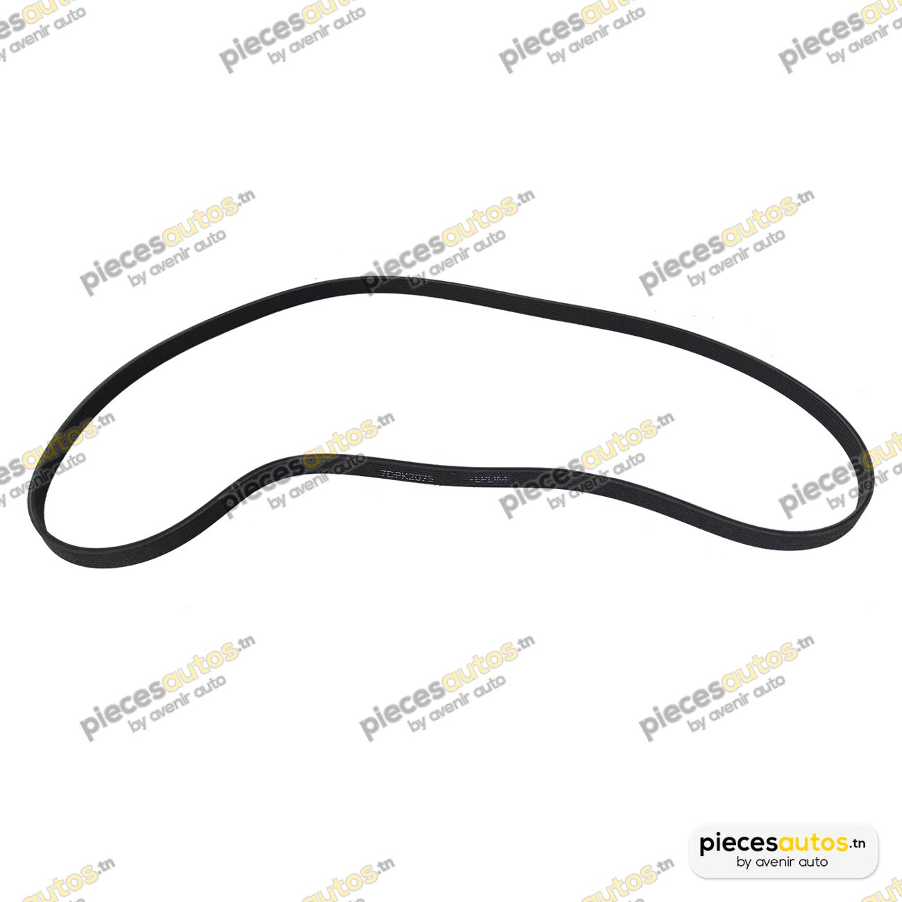 Courroie Bapmic BF0427580179