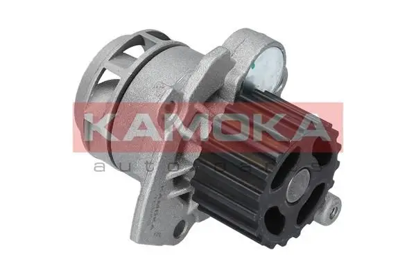 Pompe à eau KAMOKA T0253