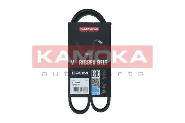 Courroie KAMOKA 7016016