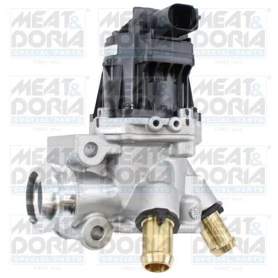 Vanne EGR MEAT & DORIA 88857