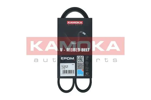 Courroie KAMOKA 7015018