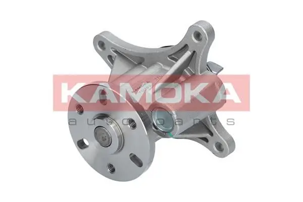 Pompe à eau KAMOKA T0093