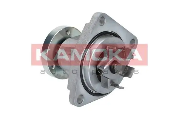 Pompe à eau KAMOKA T0237