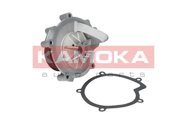 Pompe à eau KAMOKA T0100