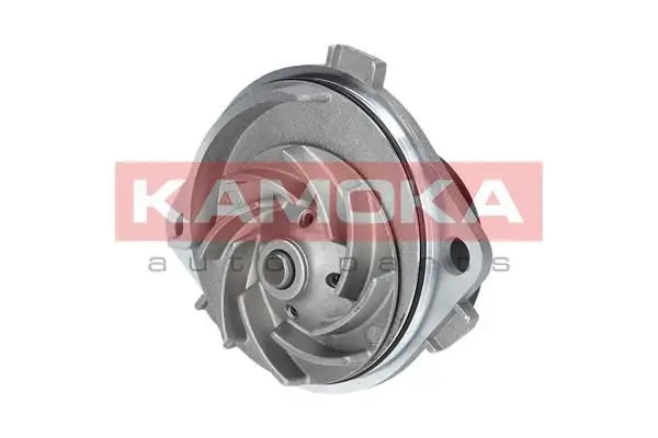 Pompe à eau KAMOKA T0111