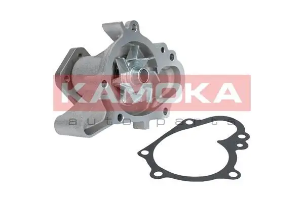 Pompe à eau KAMOKA T0158