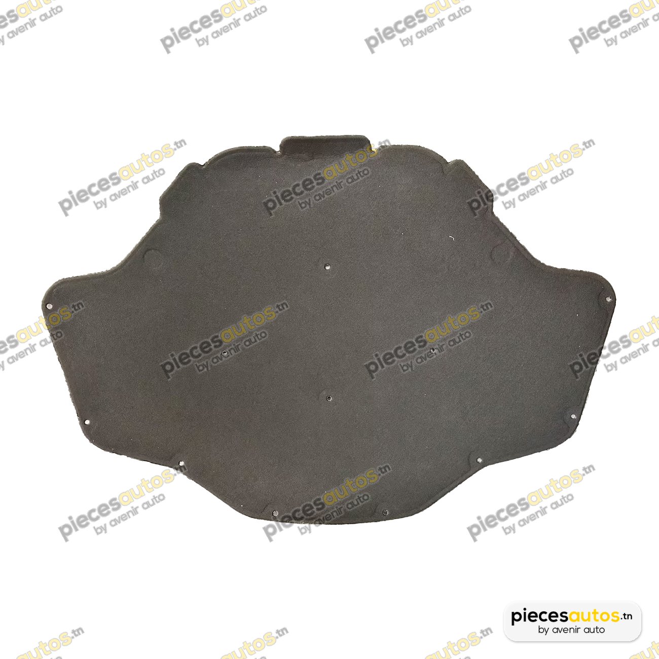 Insonoristaion du compartiment moteur Bapmic BF0114670005