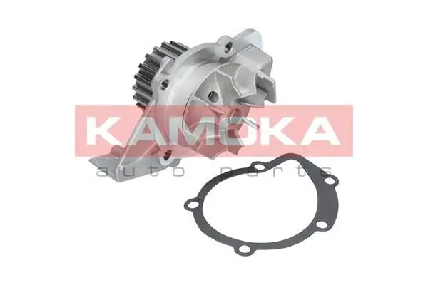 Pompe à eau KAMOKA T0086