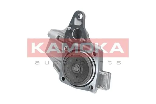 Pompe à eau KAMOKA T0239