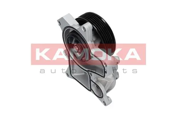 Pompe à eau KAMOKA T0048