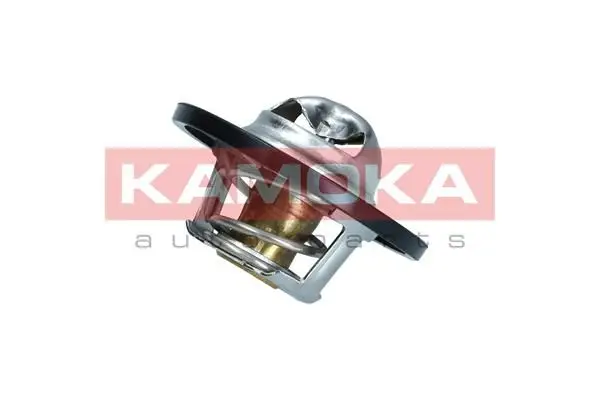 Thermostat d'eau KAMOKA 7710071