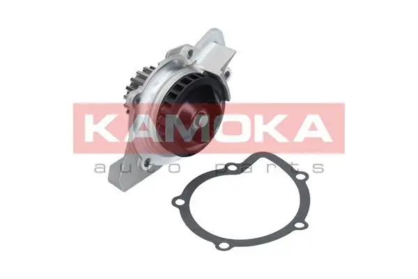 Pompe à eau KAMOKA T0092