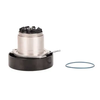Pompe à eau Bapmic TOPT1305013