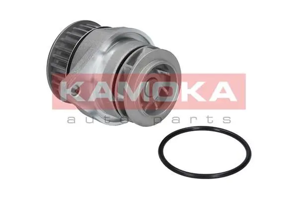 Pompe à eau KAMOKA T0026