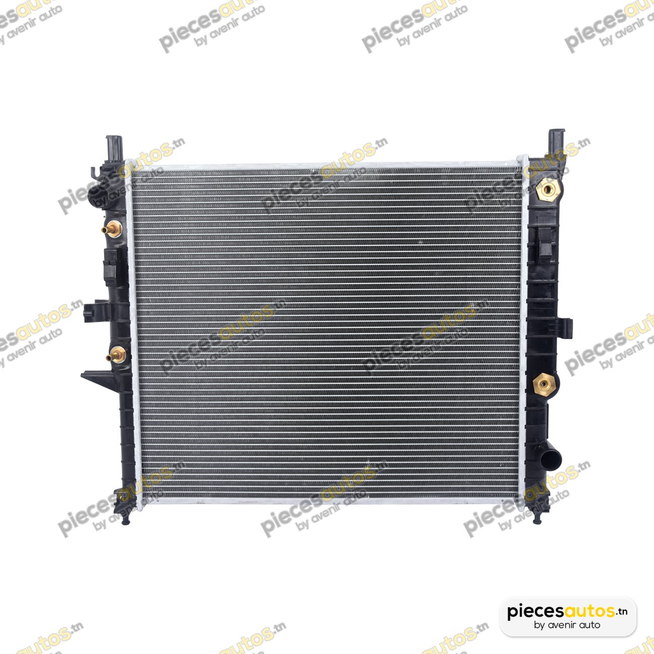 Radiateur, refroidissement du moteur Bapmic TOPT1101050