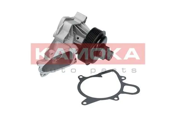 Pompe à eau KAMOKA T0060