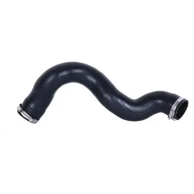 Durite turbo Bapmic BF0422700404