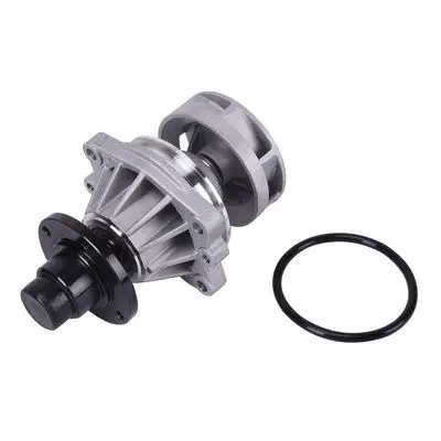 Pompe à eau Bapmic TOPT1205032