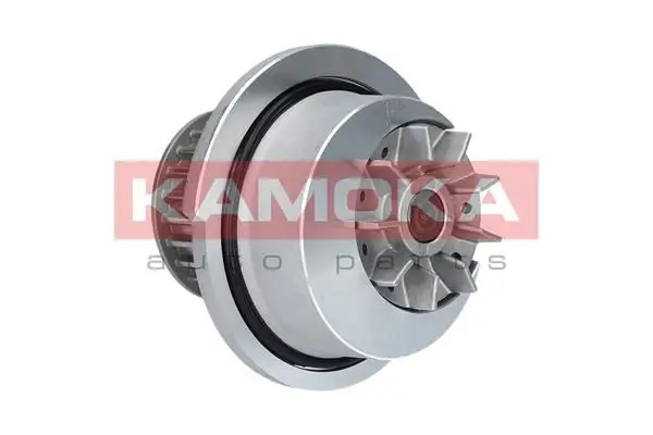 Pompe à eau KAMOKA T0232