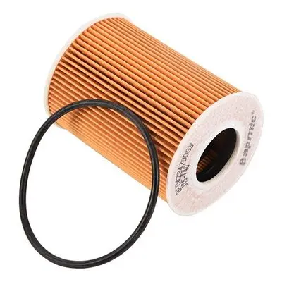 Filtre à huile Bapmic BF0423470063