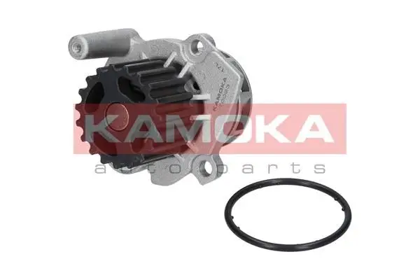 Pompe à eau KAMOKA T0023