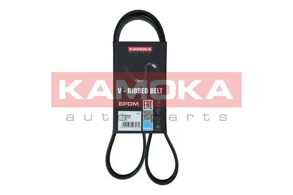 Courroie KAMOKA 7017009