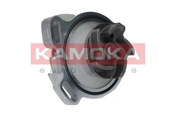 Pompe à eau KAMOKA T0275