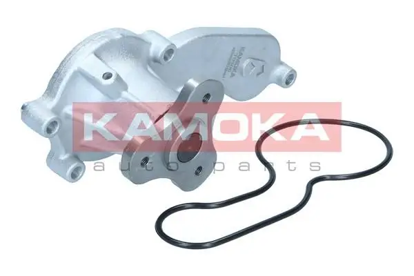 Pompe à eau KAMOKA T0306