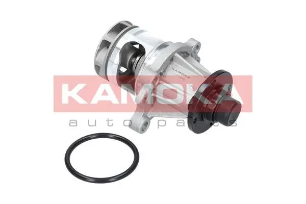 Pompe à eau KAMOKA T0056