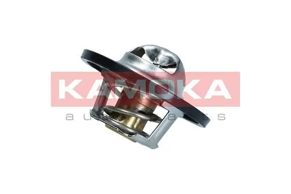 Thermostat d'eau KAMOKA 7710072