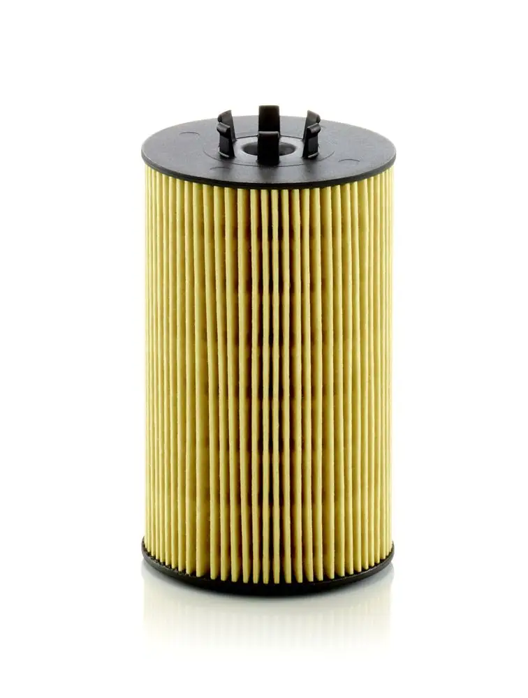Filtre à huile MANN-FILTER HU 8012 z