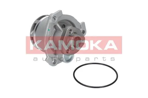 Pompe à eau KAMOKA T0234