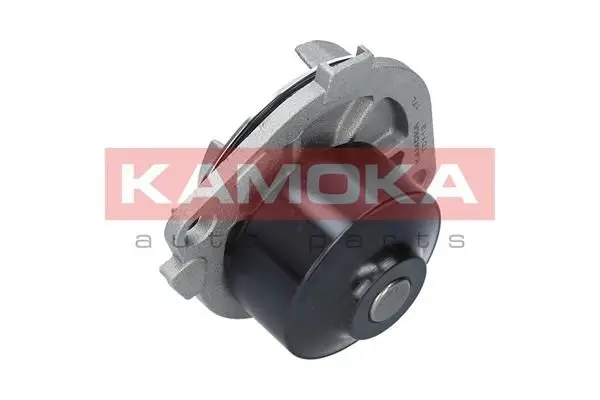 Pompe à eau KAMOKA T0113