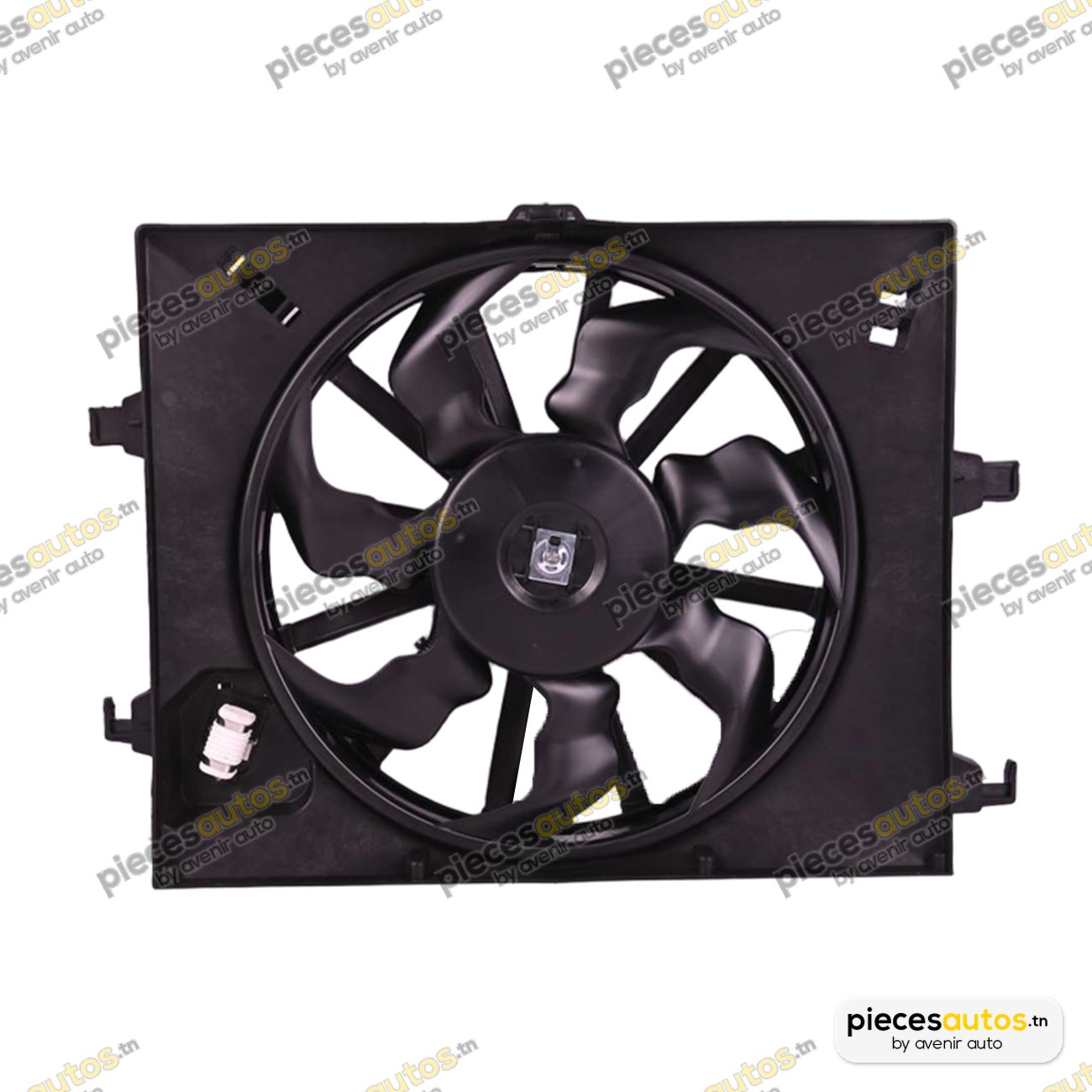 Ventilateur, refroidissement du moteur Bapmic BF0426220158