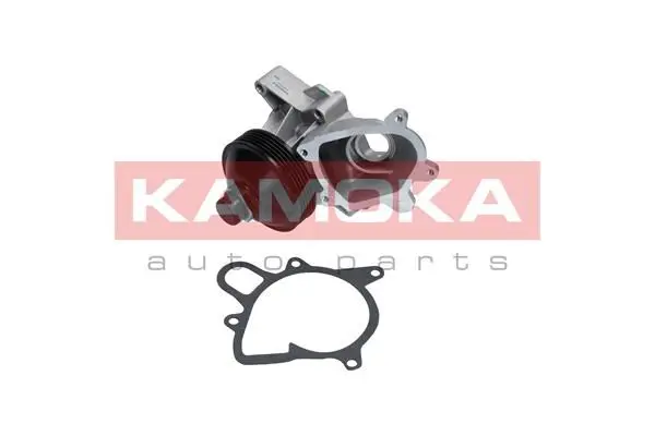 Pompe à eau KAMOKA T0064