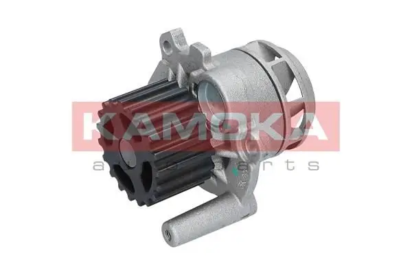 Pompe à eau KAMOKA T0025
