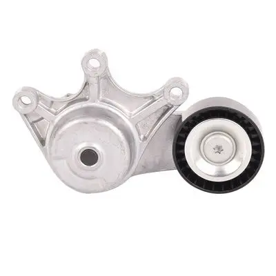 Tendeur courroie Bapmic BACB12-234048