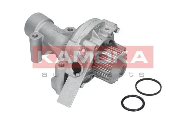 Pompe à eau KAMOKA T0090