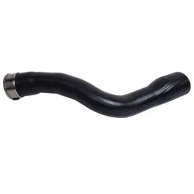 Durite turbo Bapmic BF0427030010