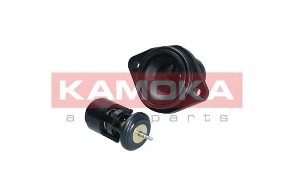 Thermostat d'eau KAMOKA 7710257