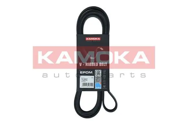 Courroie KAMOKA 7016227