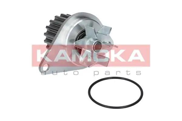 Pompe à eau KAMOKA T0089