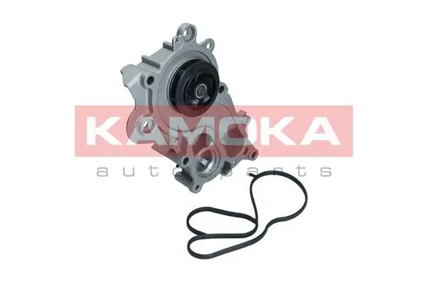 Pompe à eau KAMOKA T0286