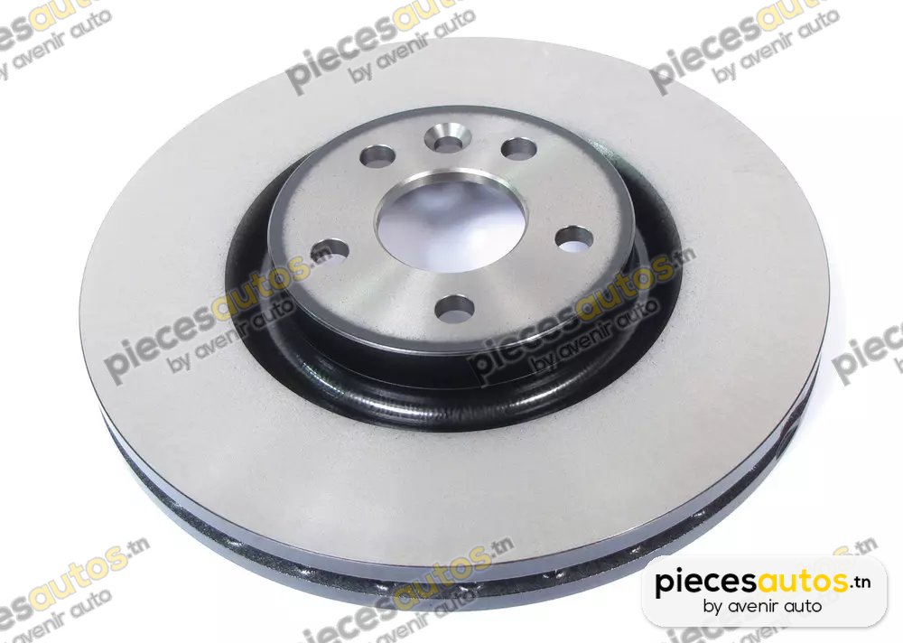 Jeu de 2 Disques de frein Bapmic BF0320110130