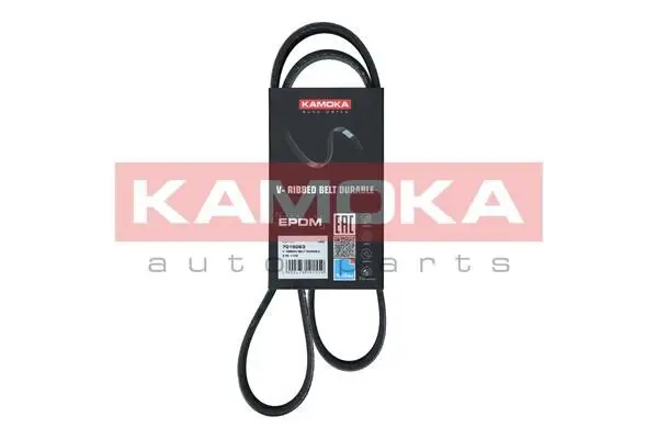 Courroie KAMOKA 7016063