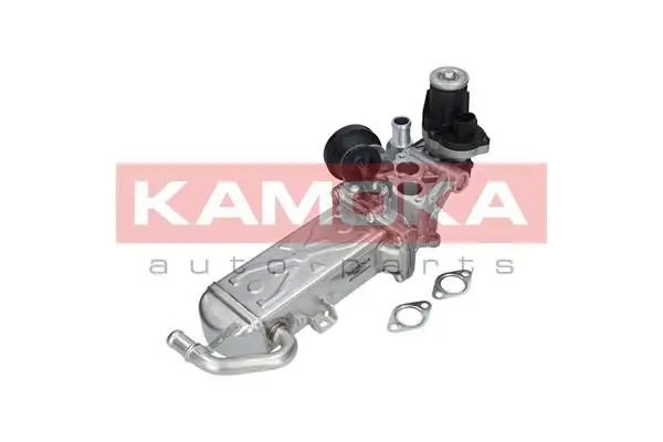 Module-EGR KAMOKA 19071