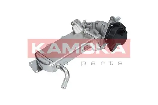 Module-EGR KAMOKA 19069