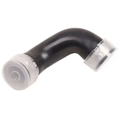 Durite turbo Bapmic BF0422700255